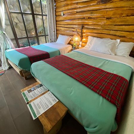 Eco Quechua Lodge 산타 테래사 외부 사진