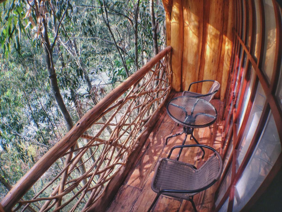 Eco Quechua Lodge 산타 테래사 외부 사진