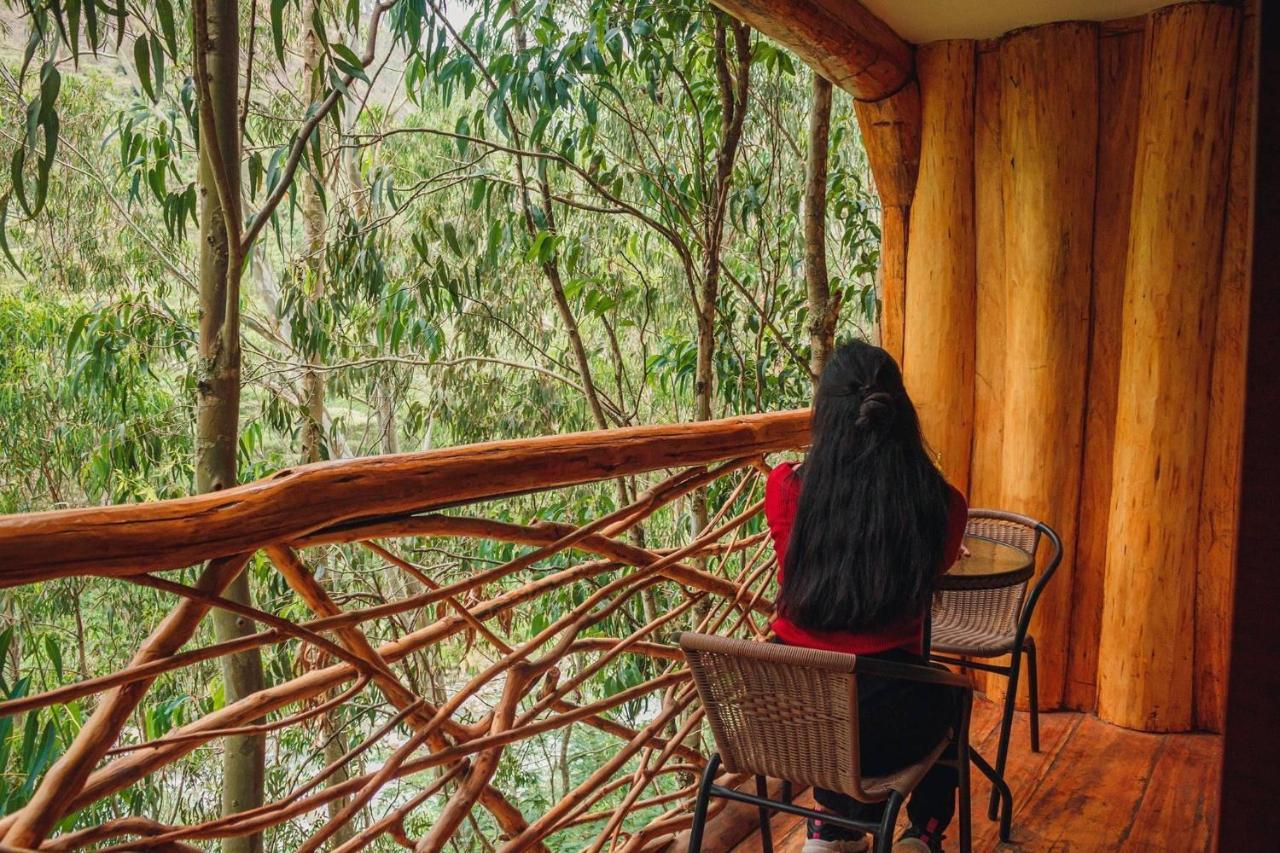 Eco Quechua Lodge 산타 테래사 외부 사진