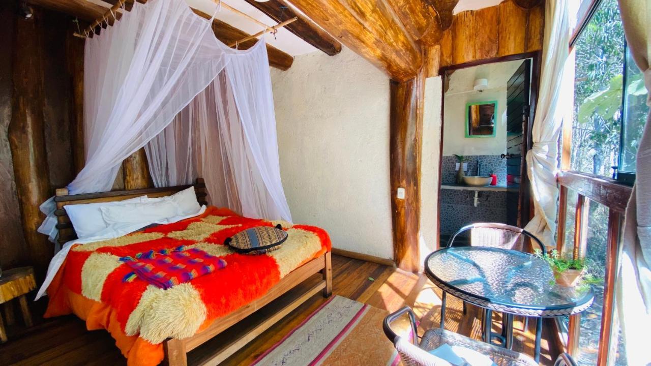 Eco Quechua Lodge 산타 테래사 외부 사진
