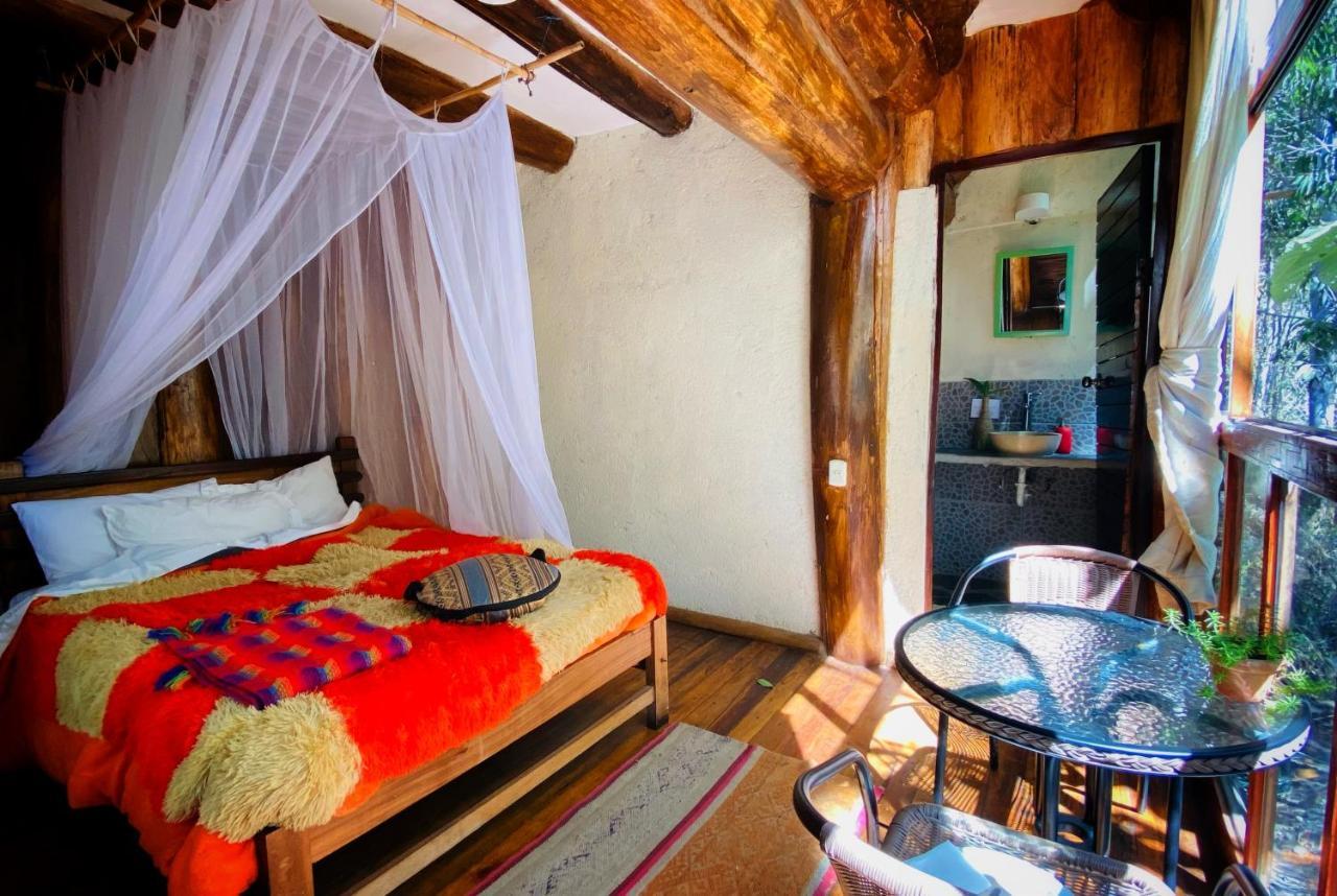 Eco Quechua Lodge 산타 테래사 외부 사진