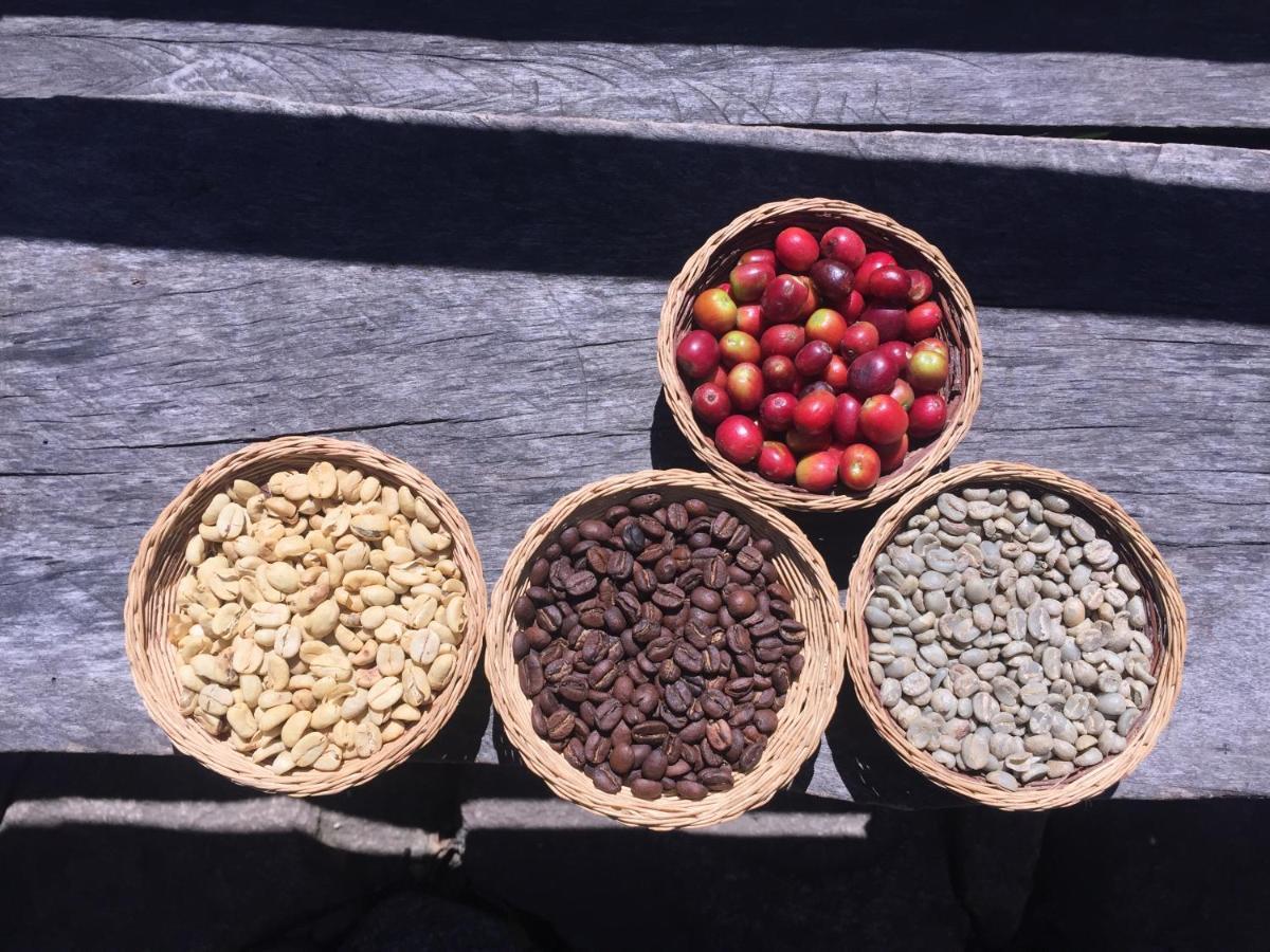 Eco Quechua Lodge 산타 테래사 외부 사진